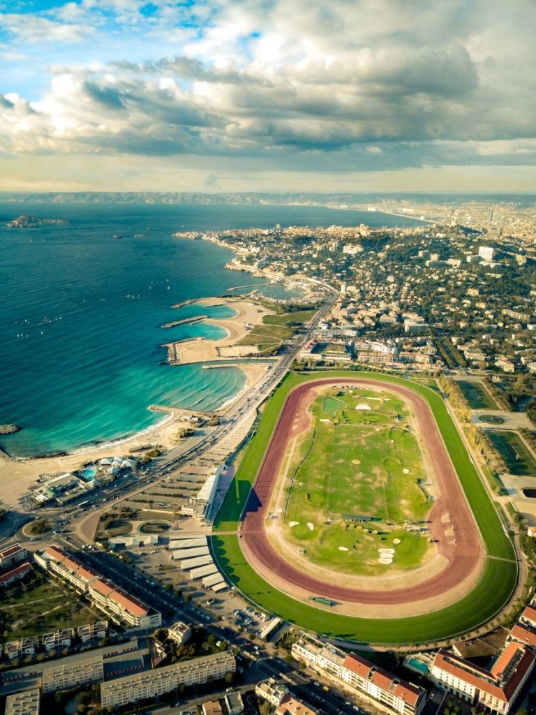 marseille 13008 punaises de lit pronet hygiene