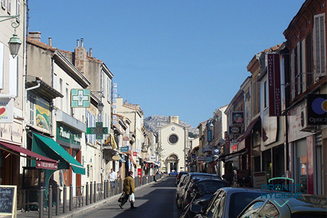 Infestation punaises de lit Marseille 13009.