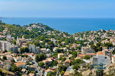 Société punaises de lit Marseille 13007 : Qu’est-ce que des punaises de lit ?