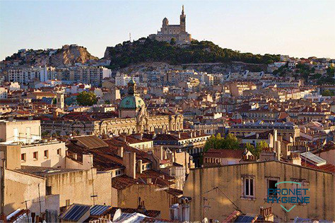Prix de désinsectisation des punaises de lit à Marseille 13006
