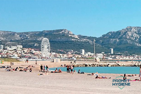 Que faire en cas d’infestation à Marseille 13008 ?