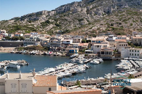 Entreprise punaises de lit Marseille 13010: